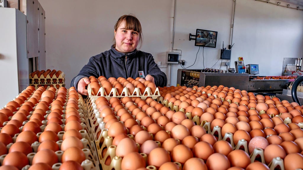 Mitarbeiterin Lexa Dorina Rennert stapelt gerade die tagesfrischen Eier auf großen Paletten. Vor Ostern ist besonders viel zu tun.