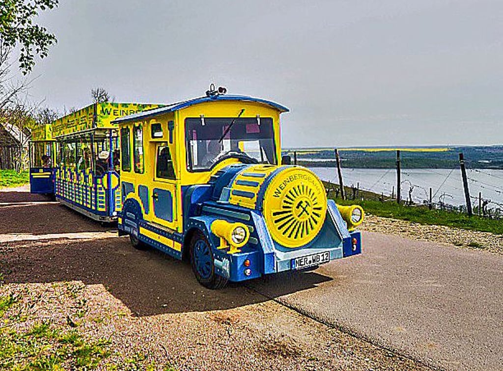 Am Geiseltalsee fährt auch 2024 die Weinbergbahn.