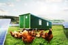 Agri-PV bedeutet im Fall von Krumpa, dass unter Solarmodulen Hühner und Rinder gehalten werden sollen. 