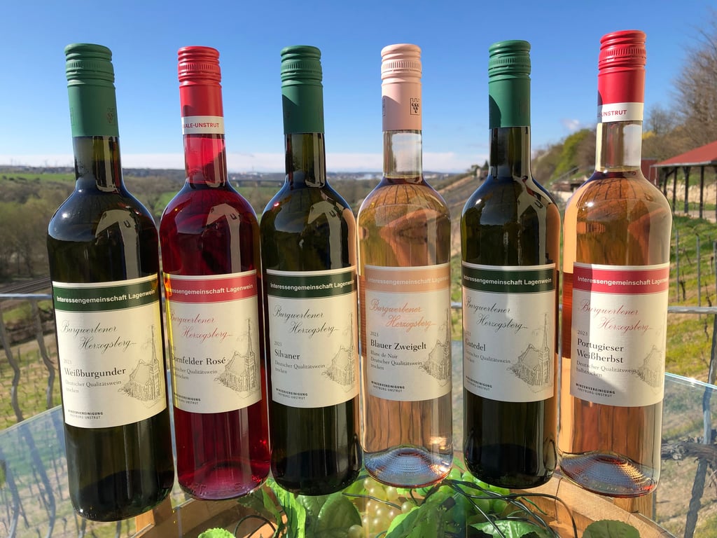 Die neuen Lagenweine vom Burgwerbener Herzogsberg sind da.