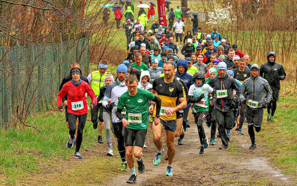Der Pretzscher Erik Lutzmann (Startnummer 526) setzt sich gleich nach dem Start an die Spitze der Läufer.