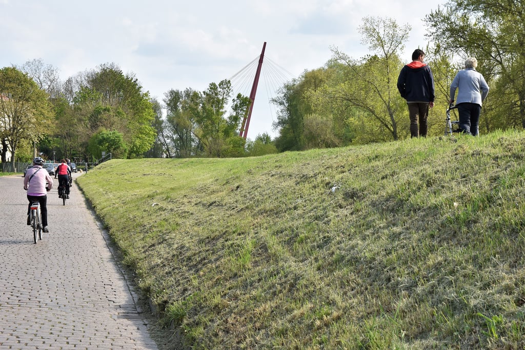 Blick auf den Deich an der Büchnerstraße in Magdeburg_Cracau.