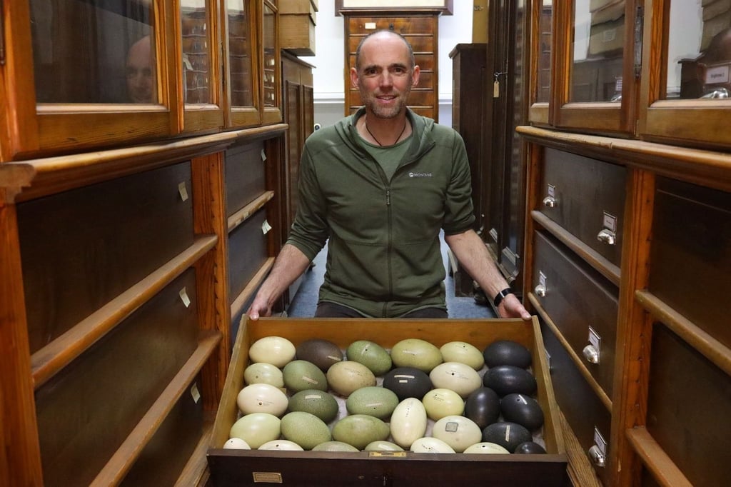 Frank Steinheimer, Leiter der Naturwissenschaftlichen Sammlungen am Domplatz