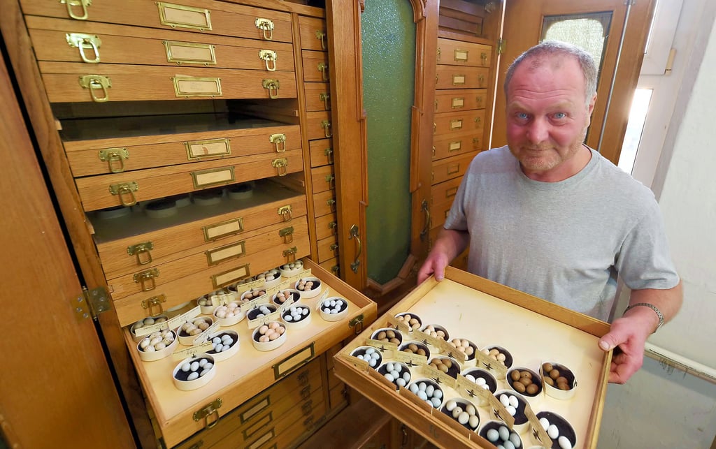 Museumsleiter Bernhard Just zeigt einen Teil der Sammlung des Justizrates Teichmüller aus Dessau. Sie soll ungefähr aus dem Jahr 1900 stammen.