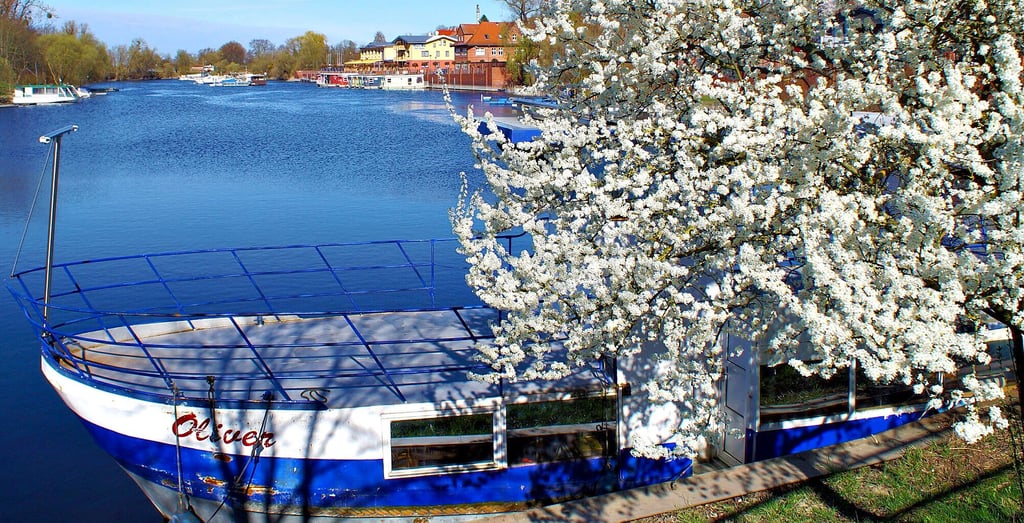 Nicht nur am Hafen in Havelberg blüht es zurzeit kräftig. Die Hansestadt ist auf die neue Tourismussaison vorbereitet und hat dafür Investitionen geplant, die sowohl für Einheimische als auch für Urlauber gedacht sind.