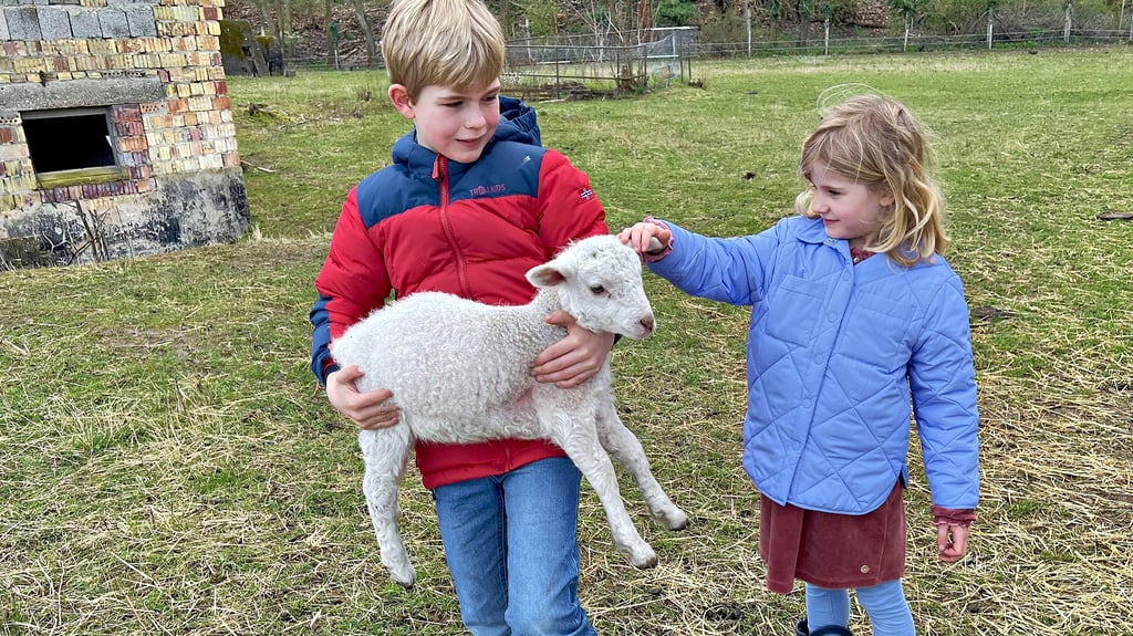 Für die Kinder der Heukamps, hier Julius und Theresa, ist die Lammzeit besonders spannend.