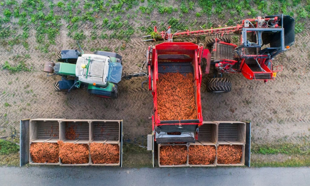 Der Anteil der Ökobetriebe in der Landwirtschaft ist in Sachsen-Anhalt in den vergangenen zehn Jahren deutlich gestiegen.