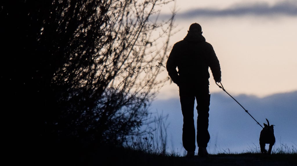 Nachdem ein 56-Jähriger jetzt unweit von Zerbst von einer Gassirunde mit dem Hund zurück kam, erlebte er eine böse Überraschung.
