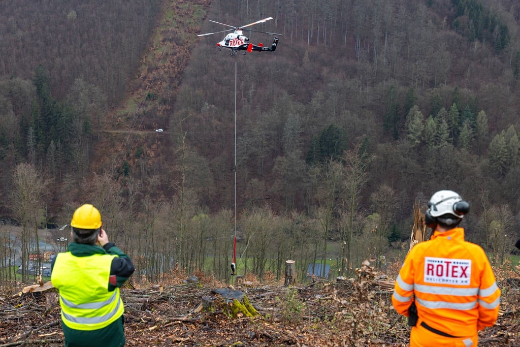 Forstmitarbeiter beobachten den Spezial-Hubschrauber mit Harvesterkopf an einem Tragseil beim Einsatz in einem Steilhang im Forstamt Sonneberg.
