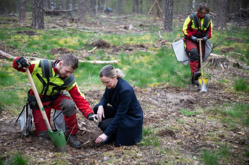 Paul, Forstwirt in Ausbildung, und Manja Schreiner (CDU) pflanzen eine Eiche.