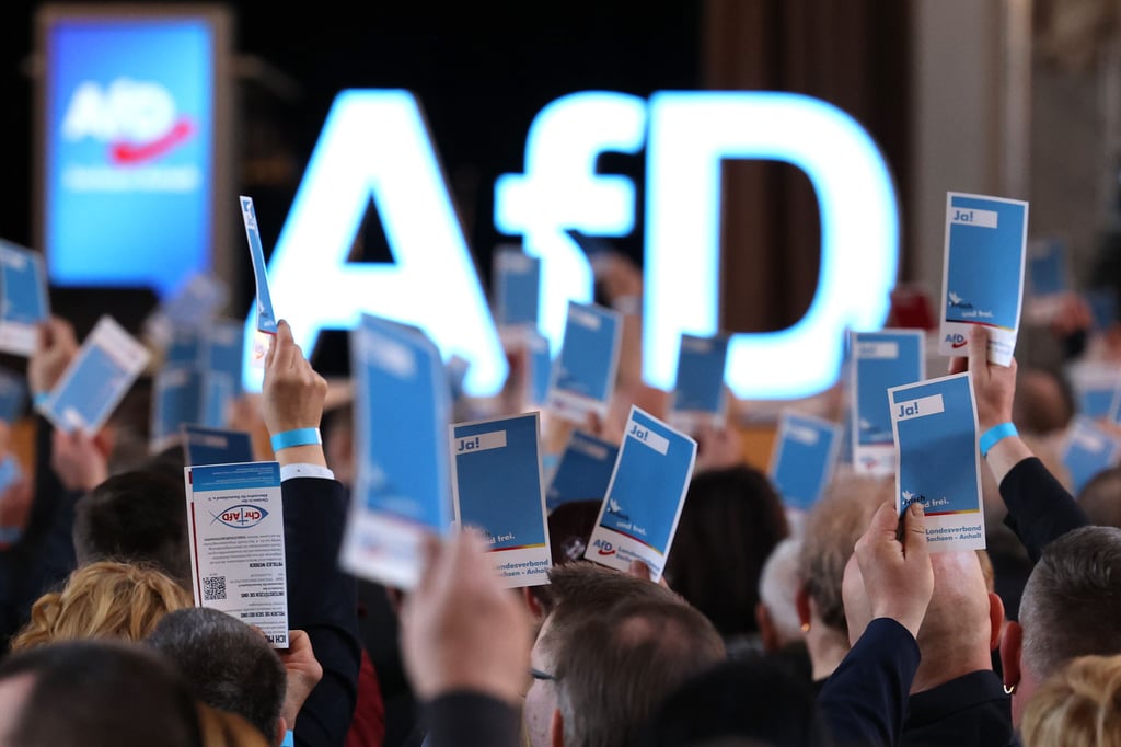 Ein parteiinterner Kritiker hat den AfD-Landesparteitag vom 3. März in Magdeburg angefochten. Jetzt drohen ihm Konsequenzen.