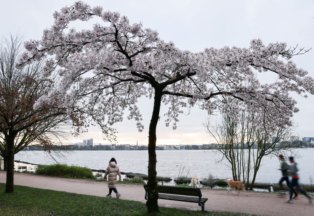 Jogger und Spaziergänger sind am Morgen an der Alster unterwegs.