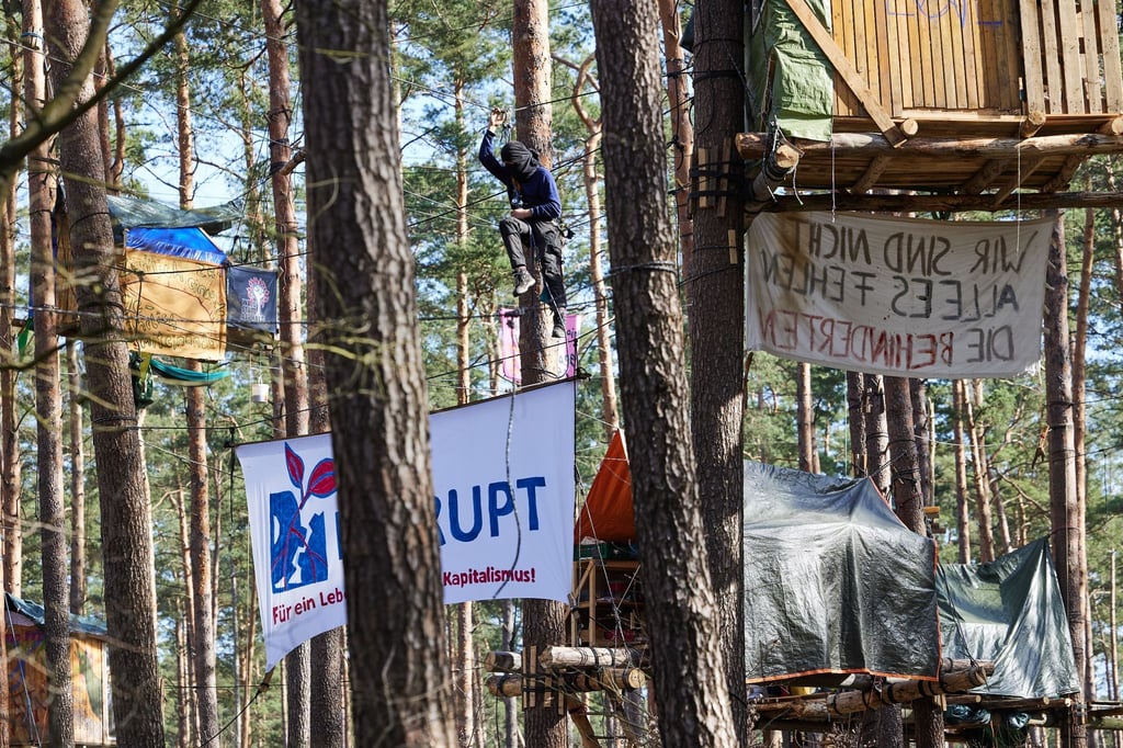 Blick ins Protestcamp der Initiative „Tesla stoppen“ in einem Kiefernwald nahe der Tesla-Gigafactory Berlin-Brandenburg.