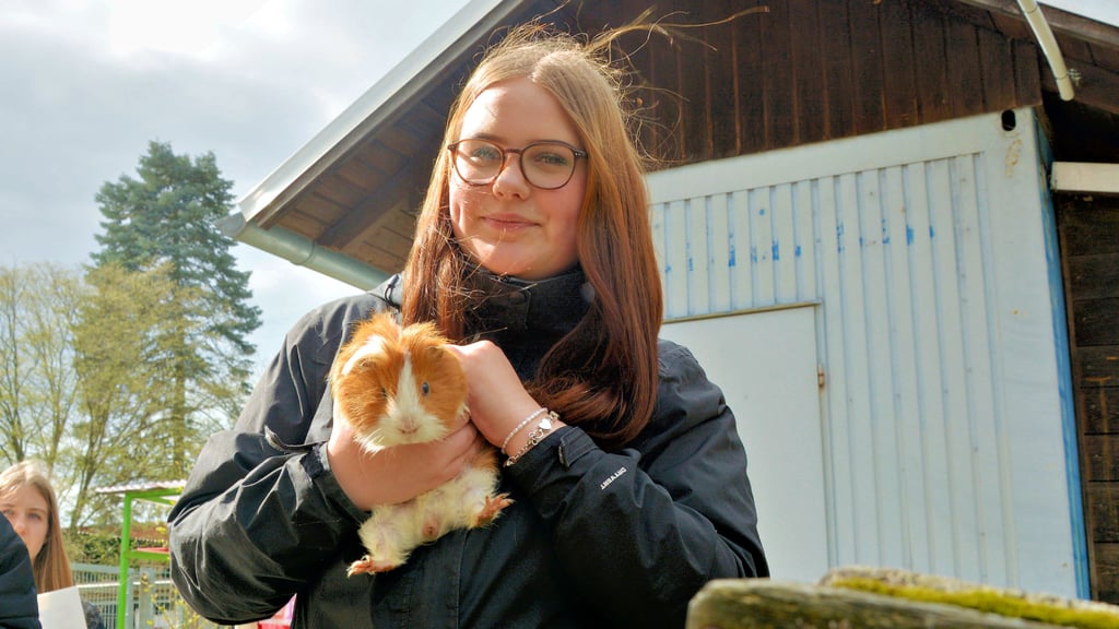 Zu Ostern wurde ein Meerschwein vom dem Deich gerettet und im Tierheim abgegeben. Schülerin Lea Marie Sy hätte es am liebesten behalten.
