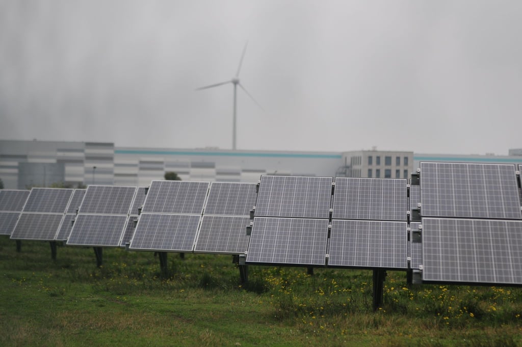 Photovoltaikmodule stehen in einem Gewerbepark in Bitterfeld-Wolfen. Im Hintergrund sind Gewerbegebäude zu sehen. Der Standort von Meyer Burger in Thalheim hängt stark von Hilfen des Bundes ab.