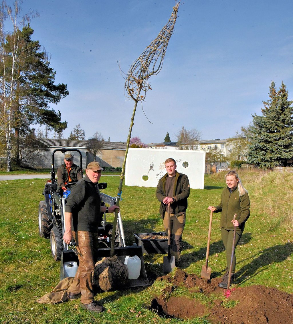 Bernhard Oswald (von links), Fritze Schüler, Kelvin Genth und Isabeau Rahne pflanzen eine Eiche im ehemaligen Barbyer Schwimmbad.