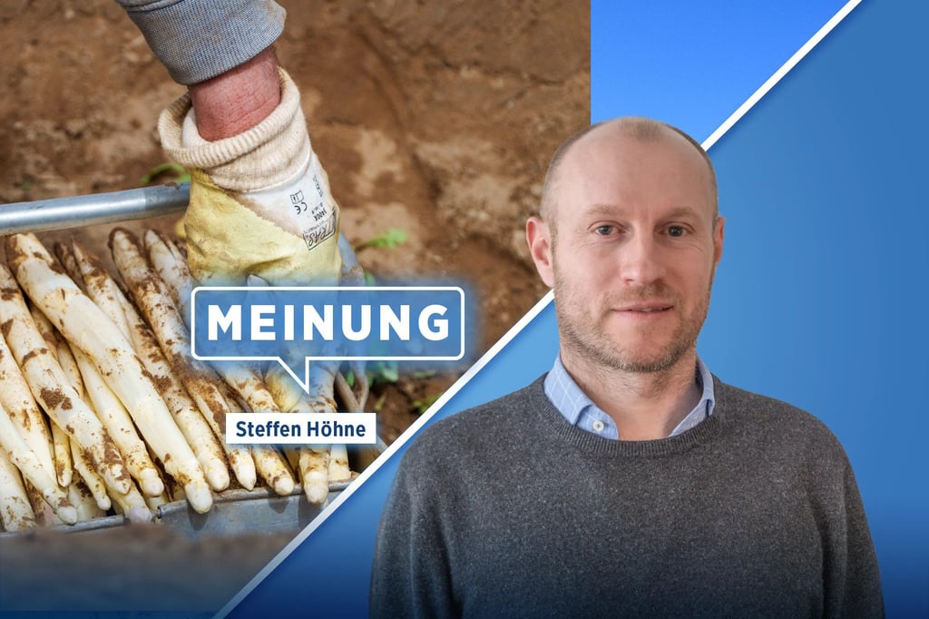 Kommentar zu Spargelanbau in Sachsen-Anhalt