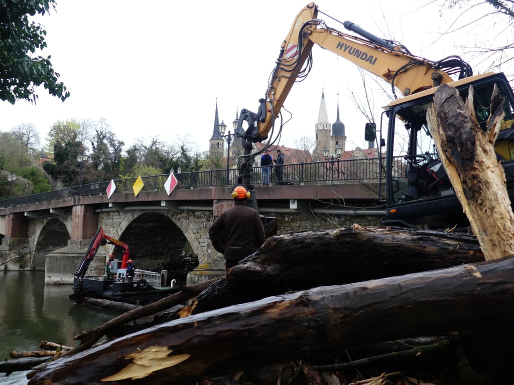 Ein Großteil des Treibguts kam mit dem Hochwasser um Neujahr. Es hatte sich vor der Brücke verkeilt.
