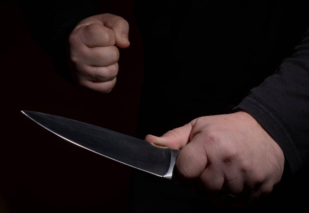 Mit einem Steakmesser soll die Frau ihren Partner angegriffen haben.