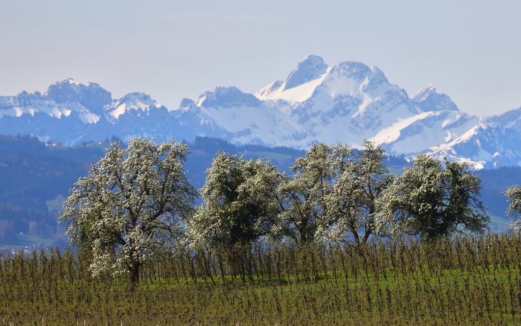 Im Süden Deutschlands wird es sonnig und warm.