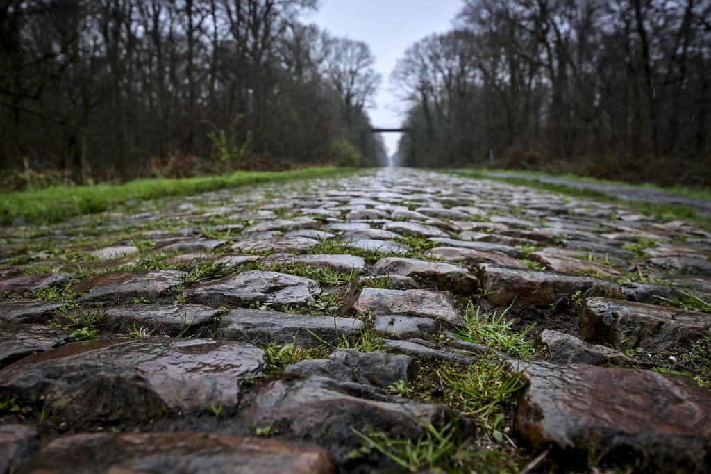 Der Rad-Klassiker Paris-Roubaix findet am Sonntag statt. Vor dem Arenberg-Wald soll nun eine Schikane das Fahrerfeld abbremsen.