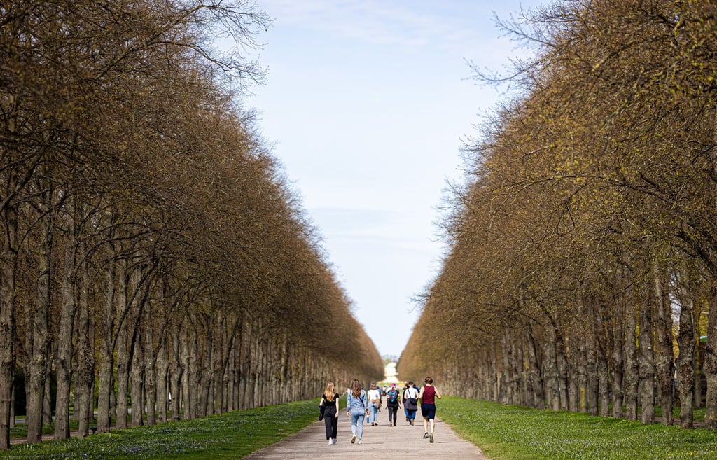 Menschen sind bei sonnigem Wetter in der Herrenhäuser Allee unterwegs.