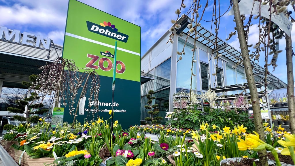 Dehner Gartencenter Magdeburg Startschuss am Florapark ungewiss