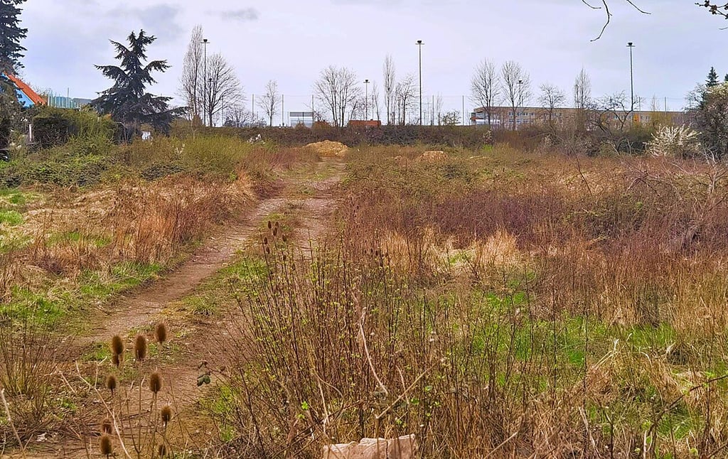 Aktuell noch ein Trampelpfad, aber bald eine Anliegerstraße mit dem Blick aufs Sportforum. Der Name steht schon fest.