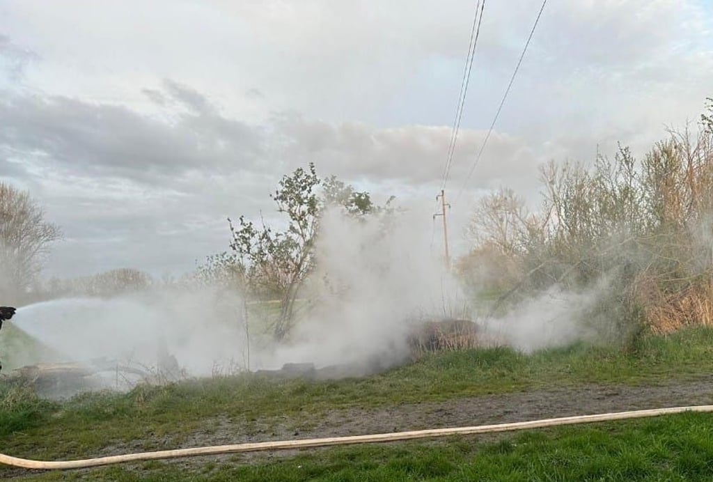 Nahe der Pastorbrücke in Osterweddingen ist vor kurzem ein Baum in Brand geraten. Die Feuerwehr löschte das bereits abgestorbene Holz. Wie das Feuer entstanden war, ist bisher unklar.