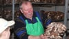 Hubert Böttcher erklärt den Minigärtnern, wie Pilze in seiner Pilzfarm wachsen