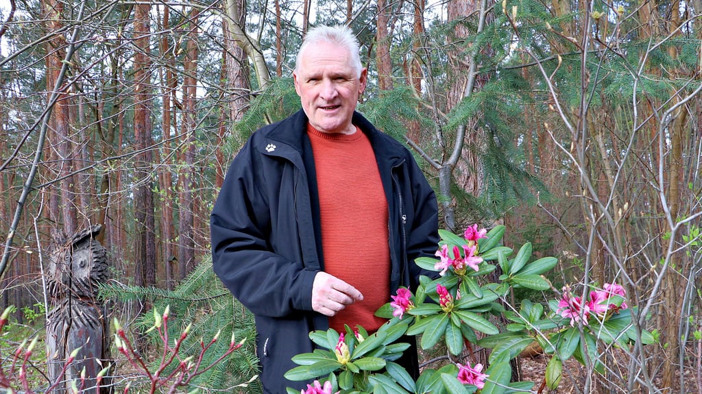 Der erste Rhododendronstrauch blüht schon. Die Natur hat es derzeit eilig. Was heißt das für die Azaleen? Detlef Schulze hofft, dass sie zur Aktion Offener Garten in voller Blüte stehen.