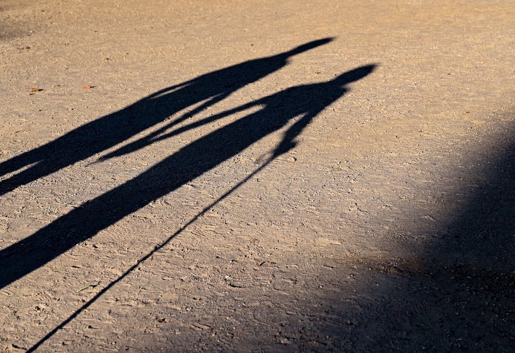 Zwei ältere Personen gehen Hand in Hand mit einem Gehstock über einen Weg und werfen einen langen Schatten.
