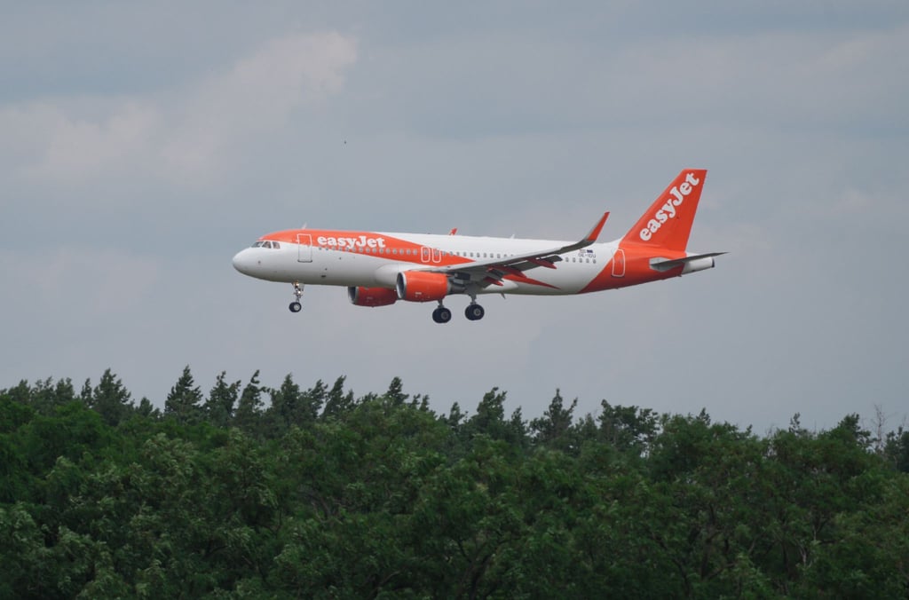 Ein Airbus A 320-214 landet hinter Bäumen auf dem BER-Flughafen.