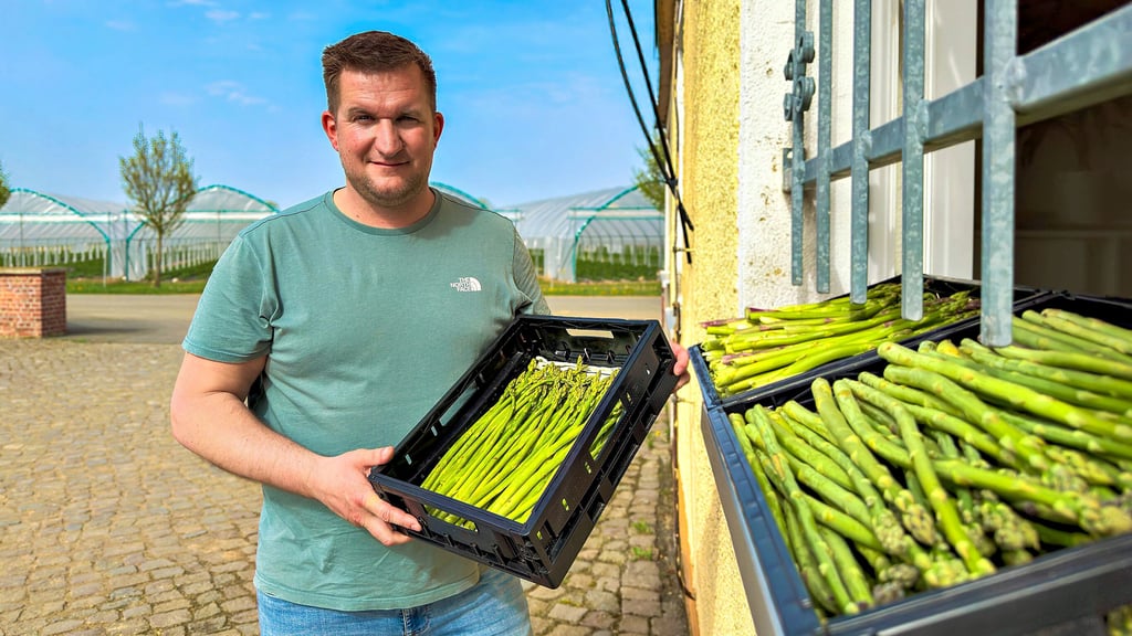 Der Spargelverkauf in Rackith hat begonnen. Agrarchef Tino Gast präsentiert die ersten grünen Stangen, die tagesfrisch geerntet worden sind.
