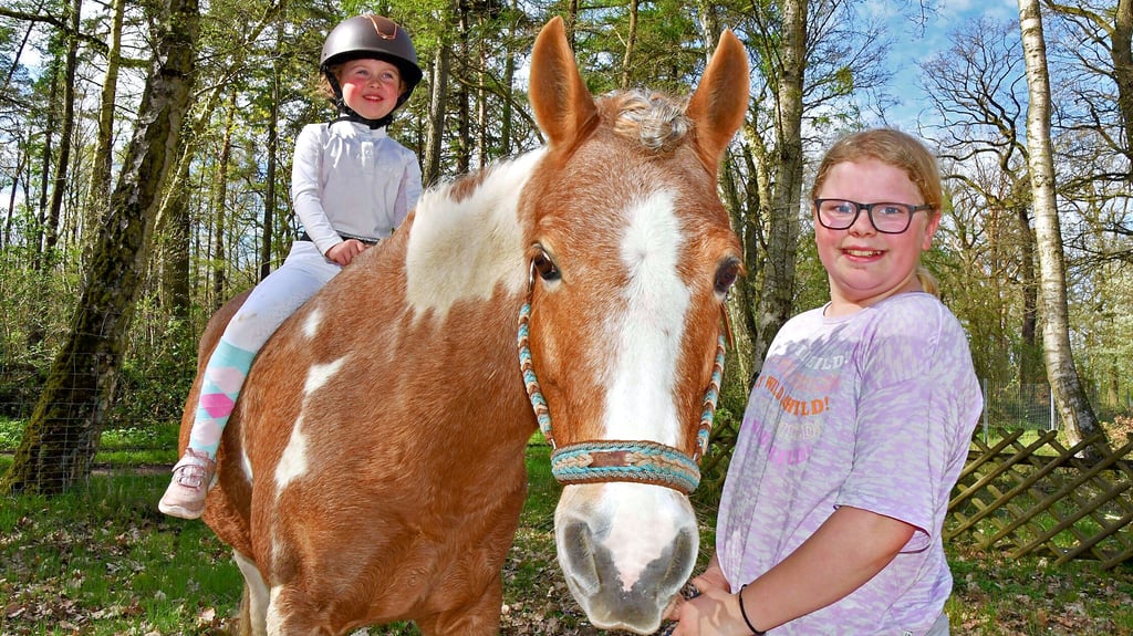 Die fünfjährige Frieda aus Roxförde vom Freizeitreit- und Fahrverein „Neun Eichen“ sitzt auf dem Rücken von Pony Liesbeth. Bente Braumann steht der kleinen Reiterin zur Seite.