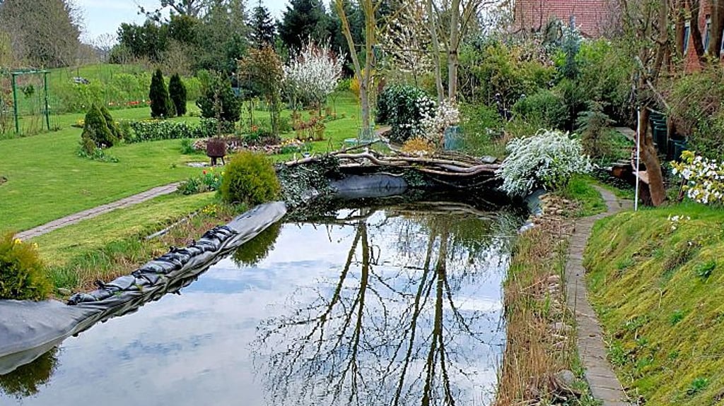 In diesen angelegten Teich passen etwa 150.000 Liter Wasser.