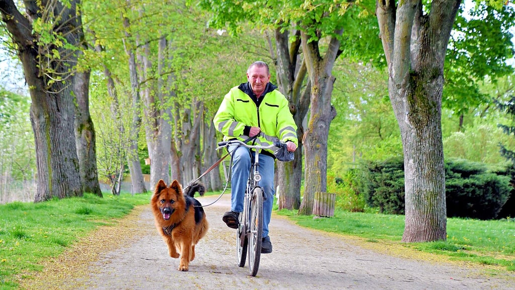 Die Wege der Parkanlage am Dämmchen sind für die Hundebesitzer in Oebisfelde eine beliebte Strecke, um ihre Vierbeiner an der langen Leine auszuführen. Dort befindet sich auch ein Automat für Hunde-Kot-Tüten.