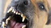 Ein Hund hat in Weißenfels ein sechs Jahre altes Kind vor einem Spielplatz ins Gesicht gebissen.