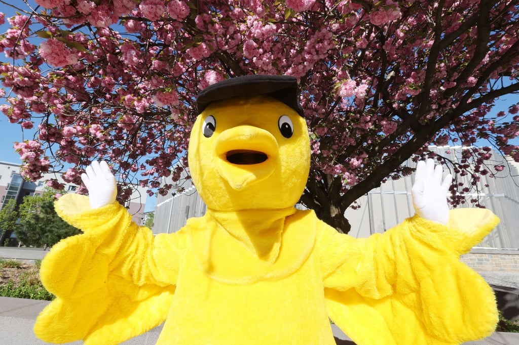 Das Maskottchen „Goldener Spatz“ posiert am Rande einer Pressekonferenz zum Programm des Goldenen Spatz-Festivals.
