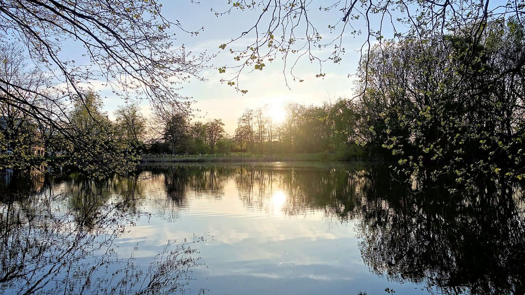 Blick auf das Gewässer in Magdeburg-Ottersleben. Die Idylle ist trügerisch.