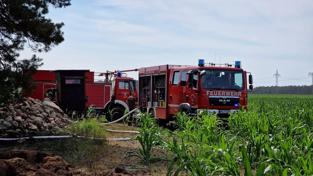 Feuerwehrfahrzeuge stehen am Waldrand.