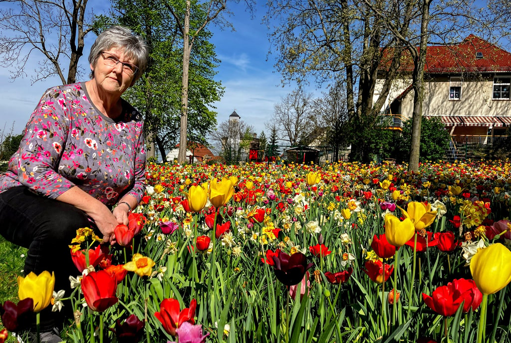 Einer ihrer Lieblingsorte: Bärbel Engel inmitten einer Tulpenwiese. Insgesamt wurden zwei Millionen Frühblüher auf dem Laga-Gelände gepflanzt.