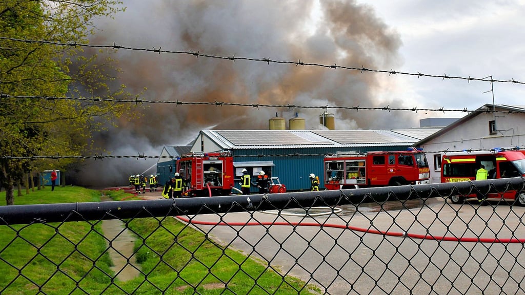 Großbrand mit Tausenden toten Schweinen in einer Schweinezuchtanlage in Binde: Dichter Rauch über den Anlagen: Mit Wasser wurden intakte Gebäude vor Flammen geschützt.