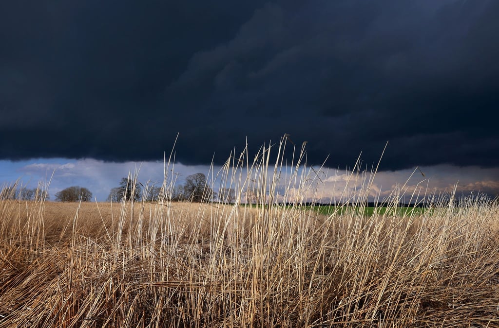 Gewitterwolken ziehen über ein Feld: Das Wetter am Abend ist durchwachsen.