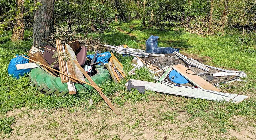 Kaum zu glauben, was um Havelberg herum alles illegal entsorgt wird. Hier ist es unter anderem ein großer Reifen.