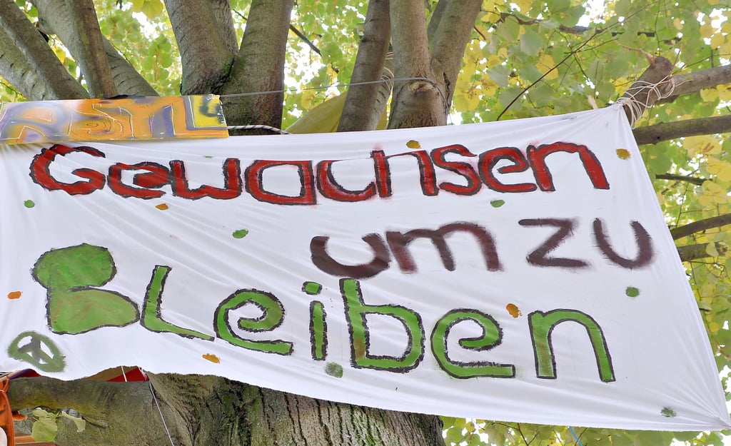 Baumschutz: Welche Bäume dürfen in der Hansestadt Gardelegen gefällt werden und welche Ausgleichsmaßnahmen sind fällig? Die CDU-Fraktion im Stadtrat möchte die bestehende Regelung gern ändern. So einfach geht das aber nicht.