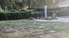 Symbolfoto - Wiesengräber gibt es unter anderem auf dem Friedhof in Kelbra, doch durch die unterschiedliche Höhe der Gräber bereitet das Mähen Probleme. Das Foto stammt vom August 2022.