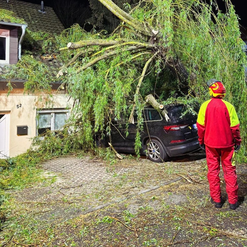 In Pößneck ist bei stürmischen Wetter am Montagabend eine große Trauerweide auf zwei Fahrzeuge und ein Haus gestürzt.