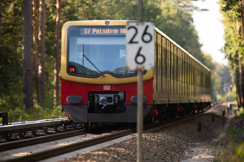 Ein S-Bahn fährt zwischen den Haltestellen Wannsee und Griebnitzsee durch den Wald.
