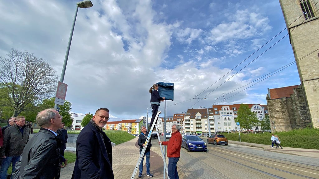 Auf dem Hohen Weg in Halberstadt gilt ab dem 17. April Tempo 30, Stadträtin Anneli Borgmann lugt hier am Dienstagnachmittag schon mal unter das noch verhängte Verkehrsschild.